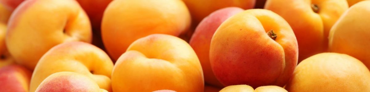 Apricot Allergy Test