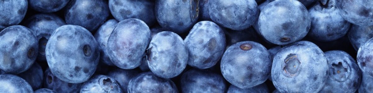 Blueberry Allergy Test