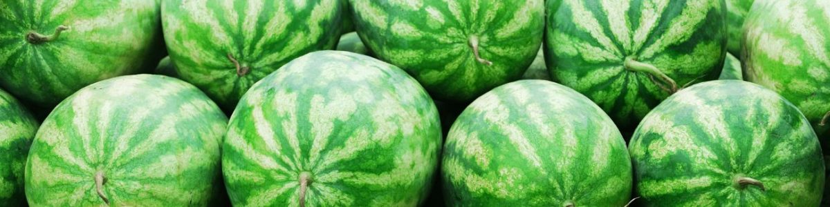 Watermelon Allergy Test