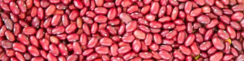 Red Kidney Bean Allergy Test