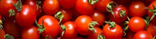 Tomato Allergy Test