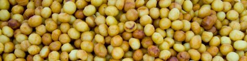 Macadamia Nut Allergy Test