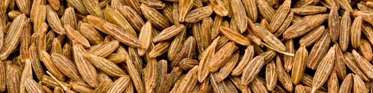 Fennel Seed Allergy Test