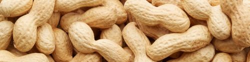 Peanut Allergy Test