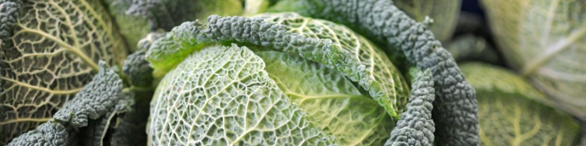 Cabbage Allergy Test