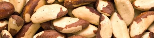 Brazil Nut Allergy Test