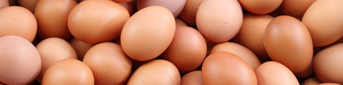 Egg White Allergy Test