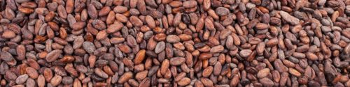 Cacao Allergy Test