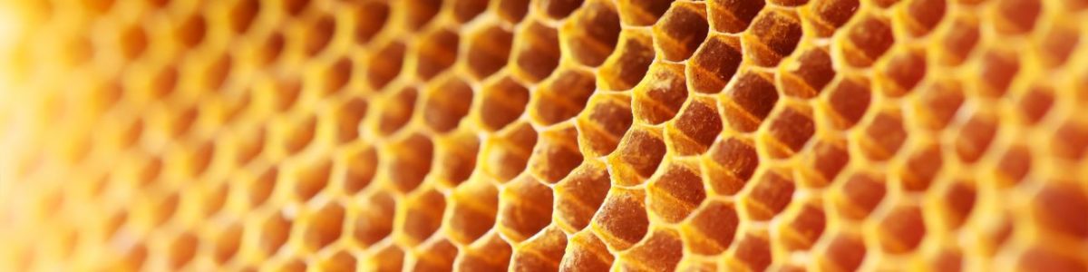 Honey Allergy Test