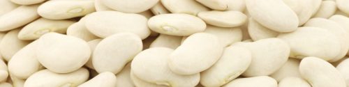 White Bean Allergy Test